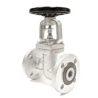 Ductile Iron Flanged Bellows Sealed Globe Valve