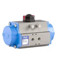 Pneumatic Double Acting Actuator