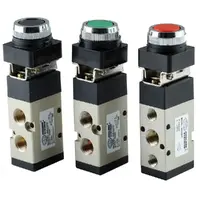 5 Way 2 position Flush Button Spring Valve