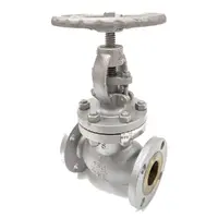 Cast Steel Flanged Globe Valve