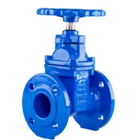 Resilient Seated Ductile Iron Gate Valve