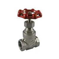 Stainless Steel Gate Valve