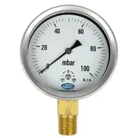 100mm Stainless Steel Bottom Entry Capsule Pressure Gauge