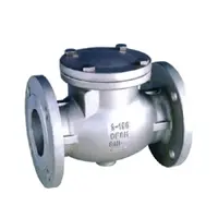 Flanged Stainless Steel Swing Check Valve