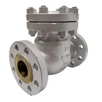 ANSI 300 Flanged Cast Steel Swing Check Valve