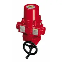 Spring Return Electric Actuator IECEX